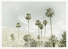 Palm Trees in the desert | Vintage Poster