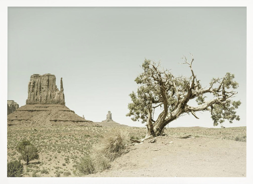 MONUMENT VALLEY Vintage West Mitten Butte and Tree Poster