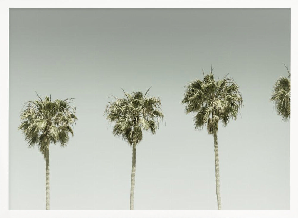 Panoramic Vintage Palm Trees Poster