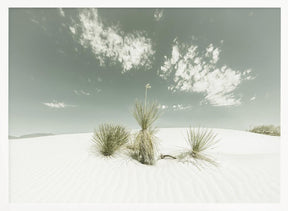 WHITE SANDS Vintage Poster