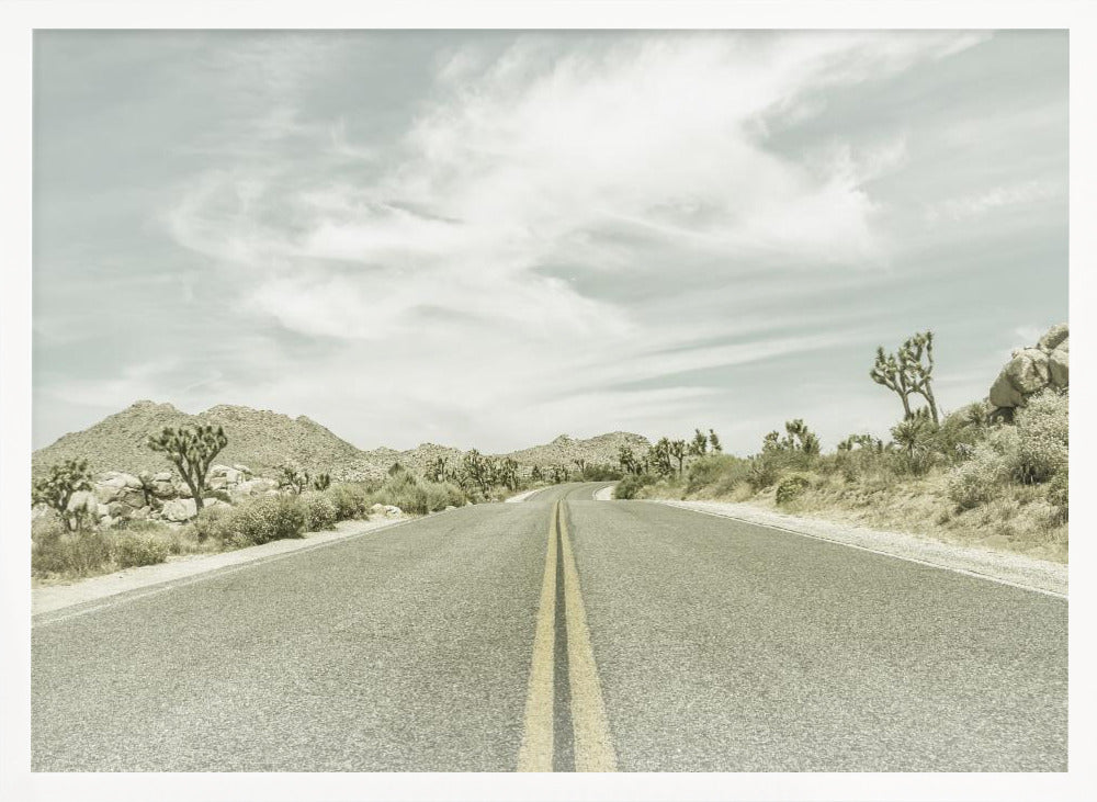 Vintage Joshua Trees, Park Boulevard Poster