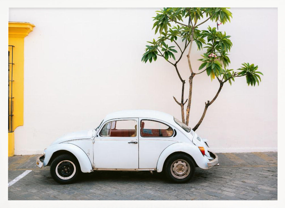 Pastel Volskwagen Beetle in the streets of Oaxaca Mexico Poster