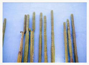 Tall Cacti on Blue | Oaxaca Mexico Travel Poster