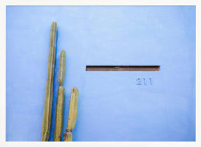 Tall Cacti on Blue | Oaxaca Mexico Travel Poster