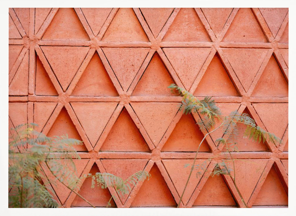 Coral details of Oaxacan Architecture in Mexico Poster