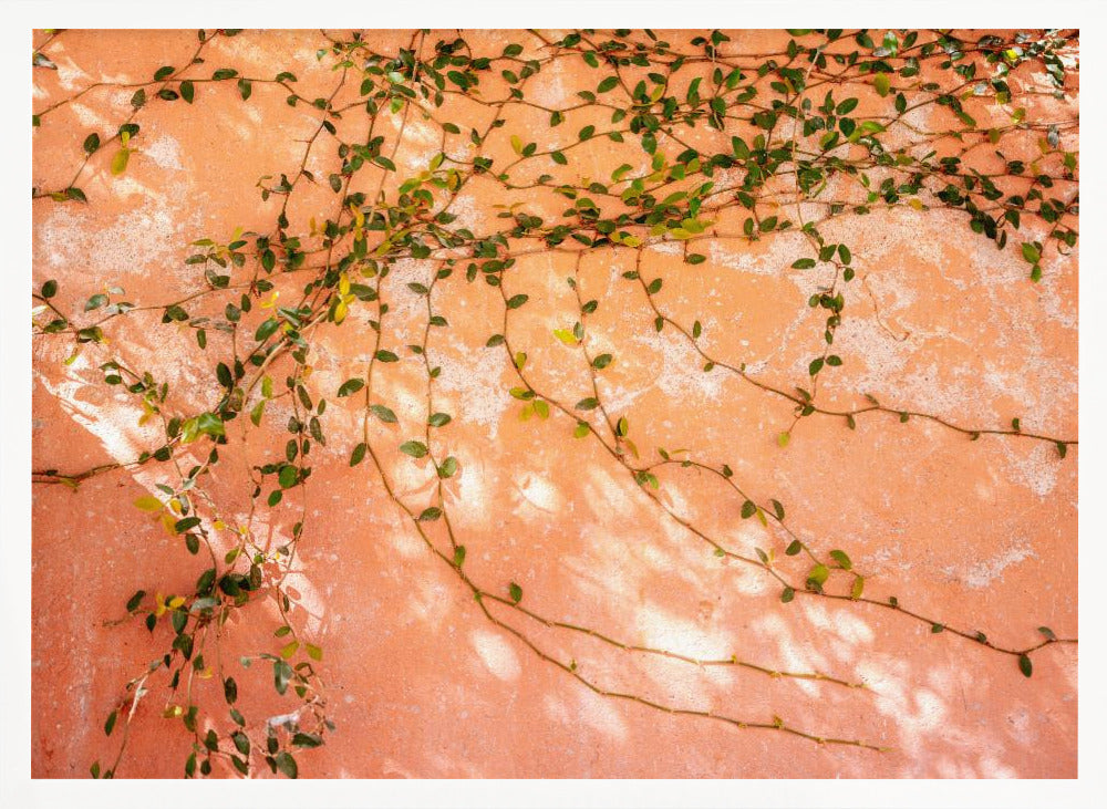 Botanical San Miguel de Allende | Mexico travel photography Poster