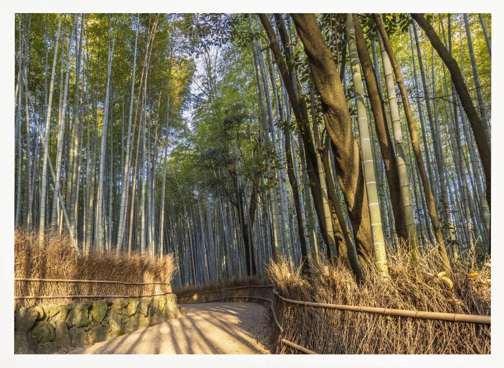 Impressive Arashiyama Bamboo Forest Poster