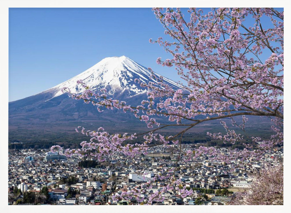 Picturesque view of Mount Fuji during cherry blossom season Poster