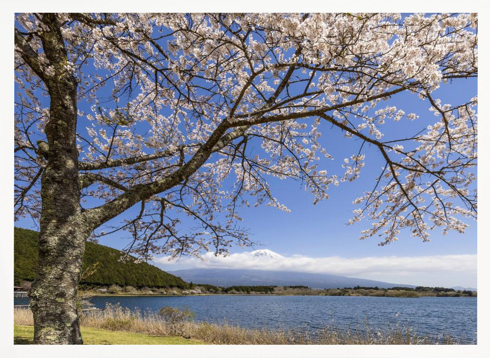 Picturesque Lake Tanuki with Mount Fuji Poster