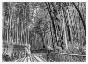 Impressive Arashiyama Bamboo Forest - monochrome Poster