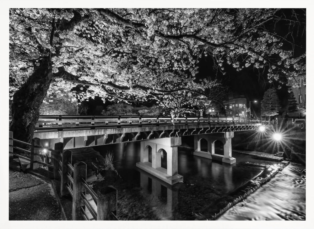 Picturesque Nakabashi Bridge in the evening - monochrome Poster