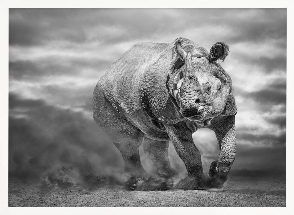 DesertRhino-BW Poster