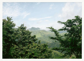 Greens of Monteverde Costa Rica Poster