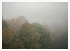 Foggy Autumn Forest Poster