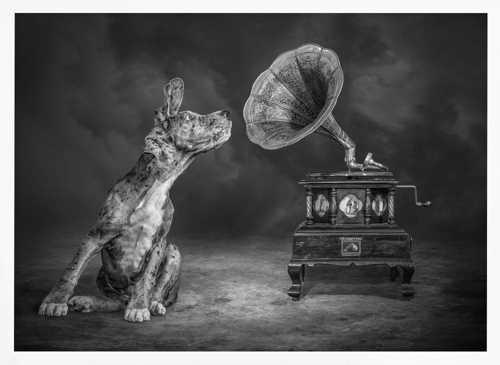 MusicDog-BW Poster