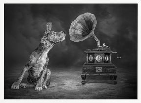 MusicDog-BW Poster