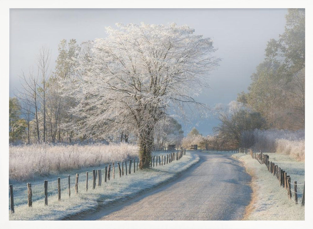 A Frosty Morning Poster