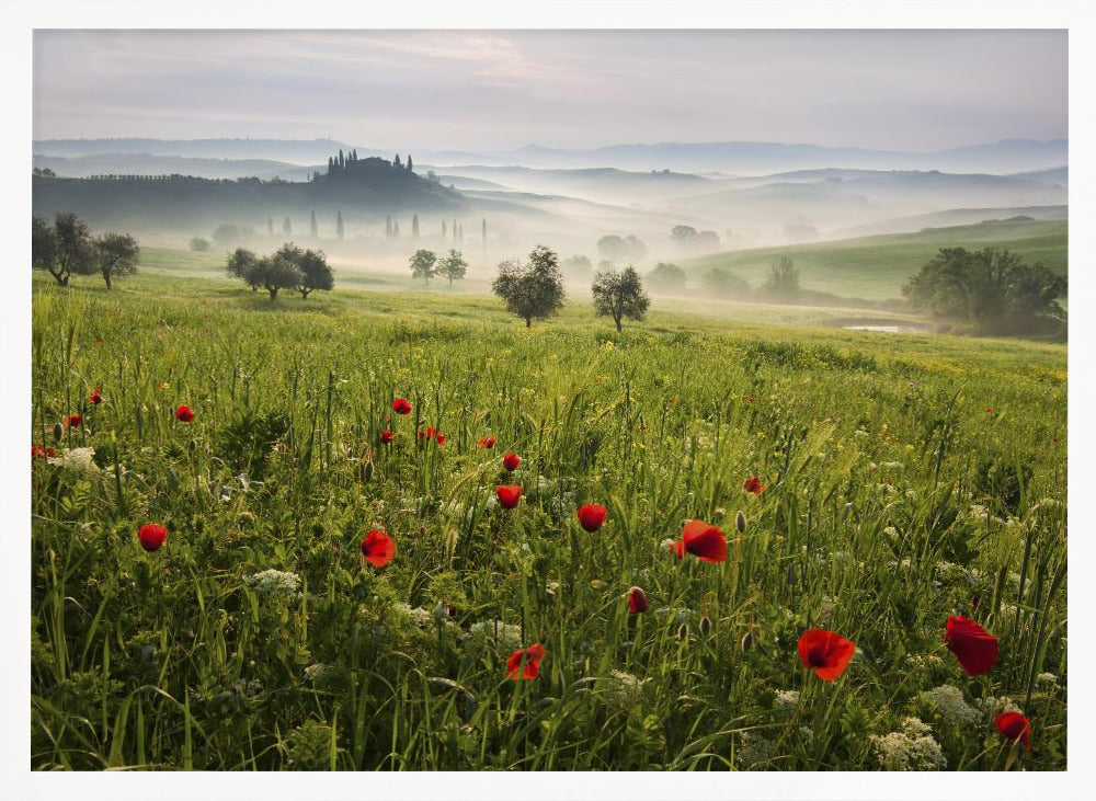 Tuscan spring Poster