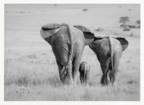 Three Butts! Poster