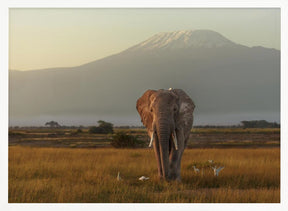 Under the roof of Africa Poster