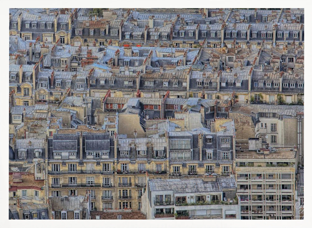 Parisian roofs Poster