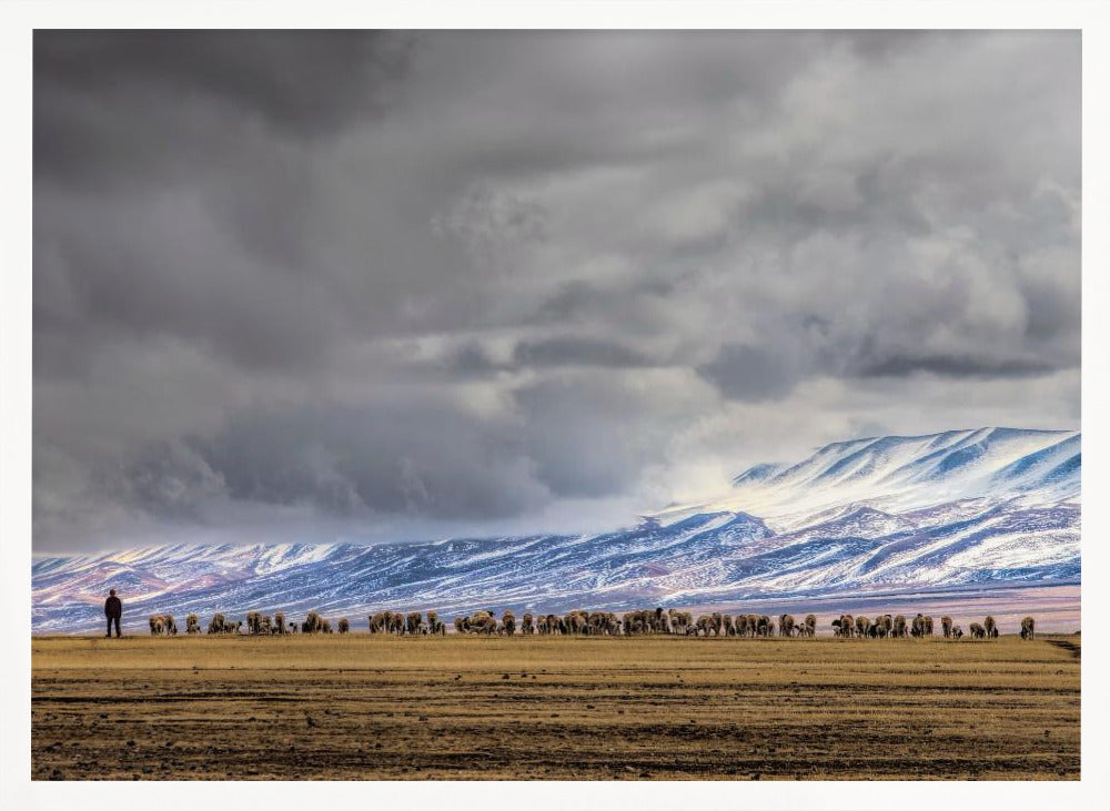 At the foot of the Tianshan Mountains Poster