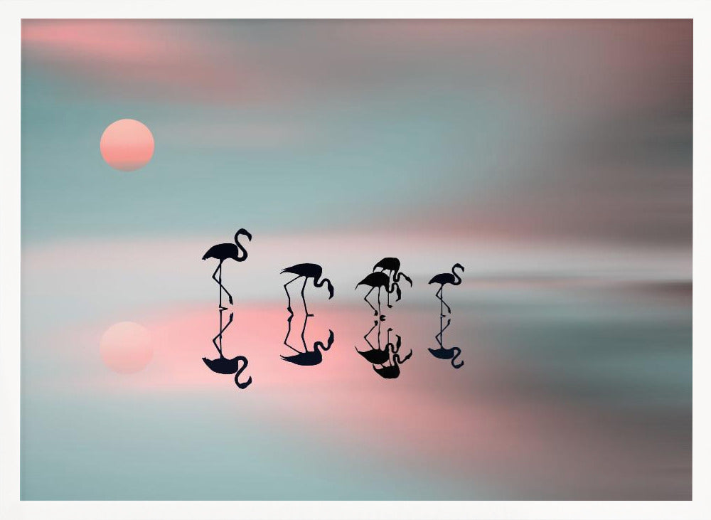 Family flamingos. Poster