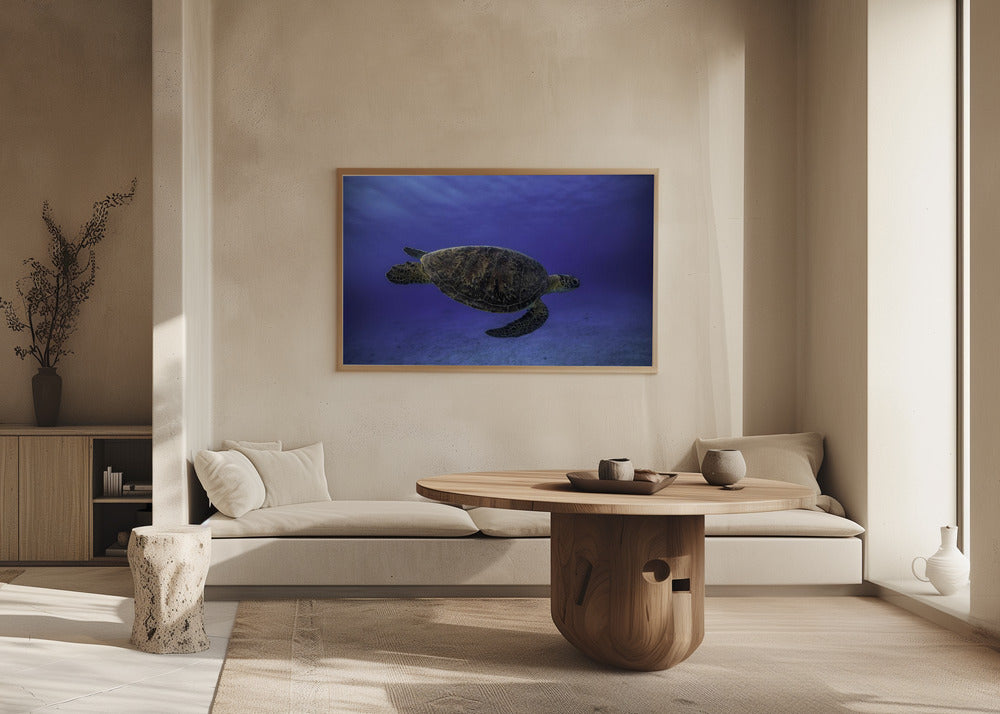 Green turtle in the blue Poster