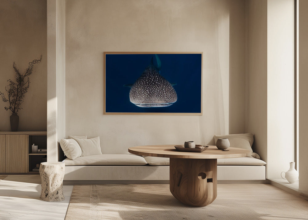 Whale Shark Poster