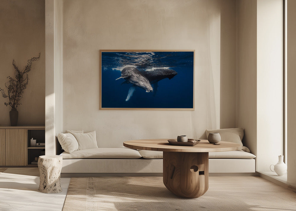 Humpback Whale family! Poster