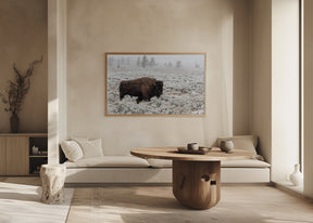 Late Fall Yellowstone Poster