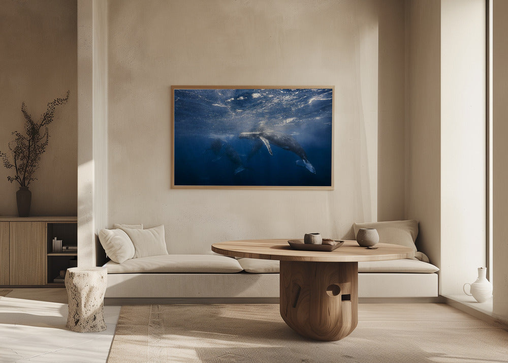 Humpback Whale Poster