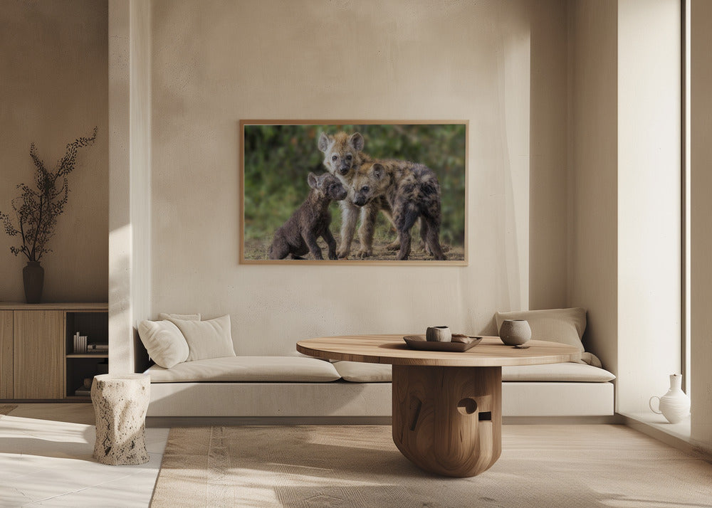 Baby Hyena Poster