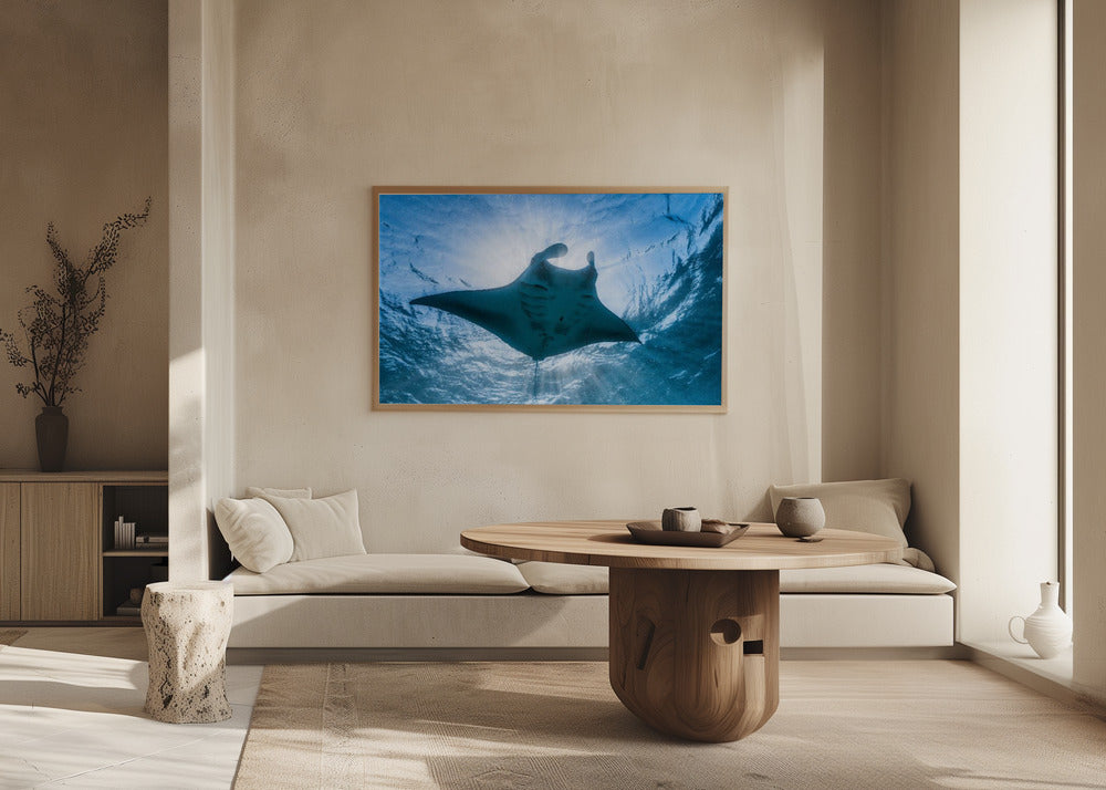 Manta ray Poster