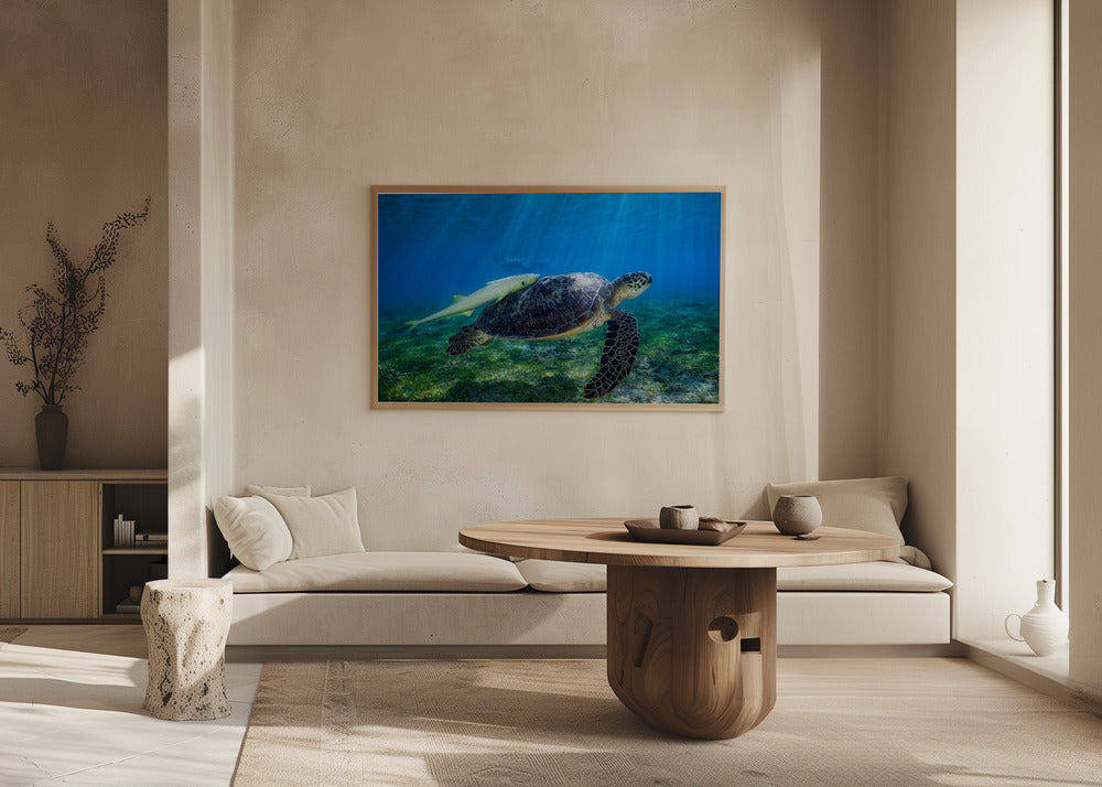 Sea Turtle Poster