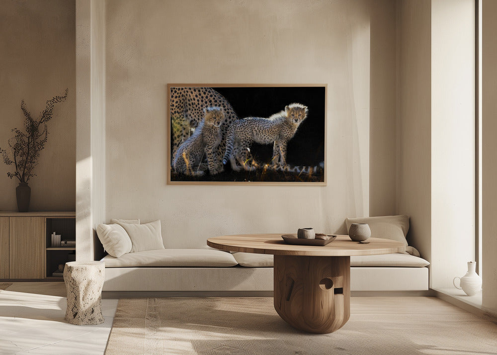 Baby Cheetahs Poster