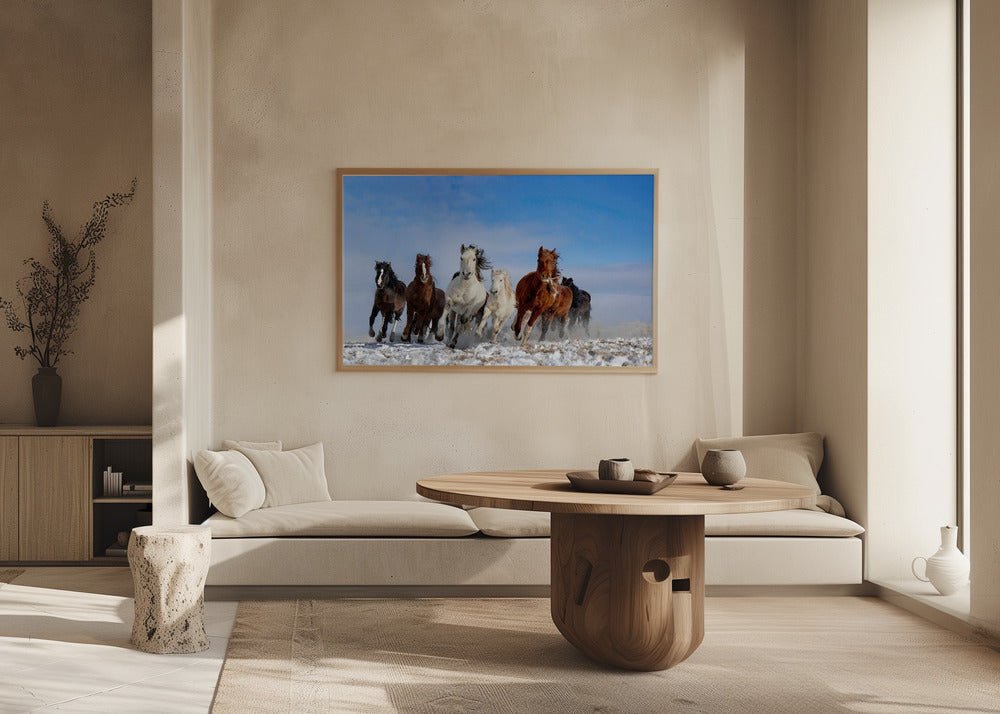 Mongolia Horses Poster