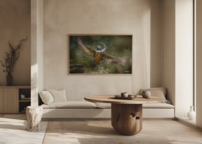 kingfisher Poster