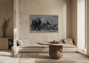 Elephants family Poster