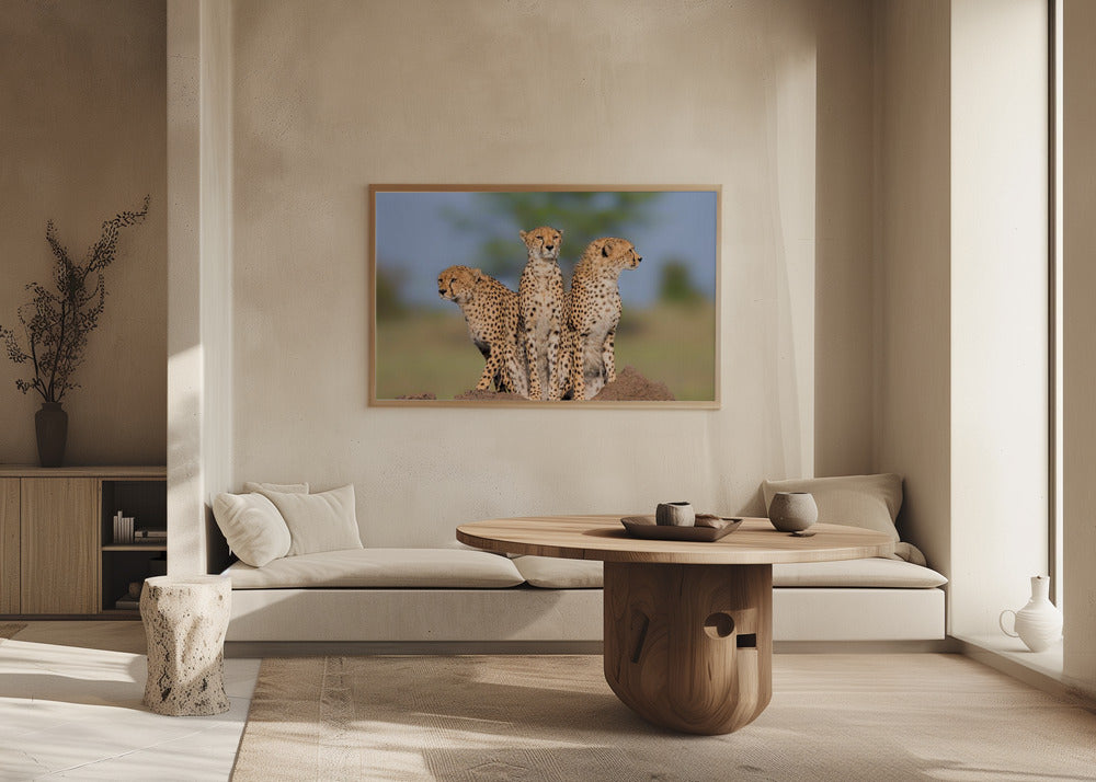 Cheetah Malaika and Her Two Boys Poster