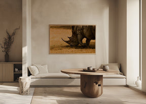 White rhino Poster