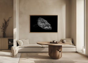 Potato grouper : Black  &amp; White Poster