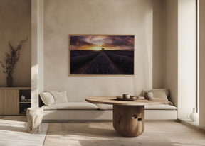 Lavender sunset Poster