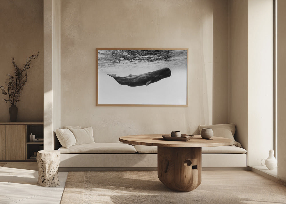 Sperm whale Poster