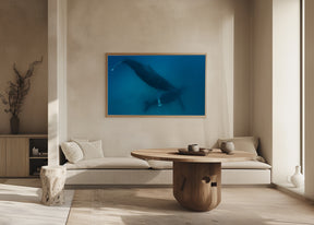 Humpback whales Poster