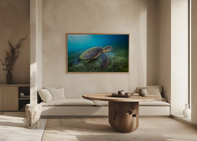 Green turtle Poster