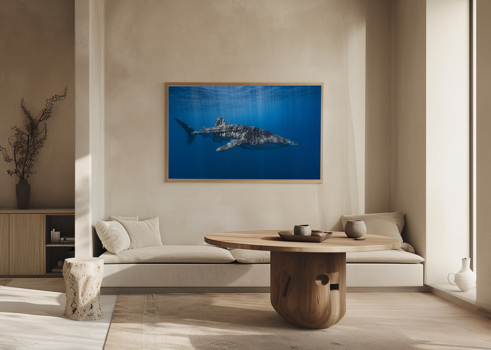 Whale shark in the blue Poster