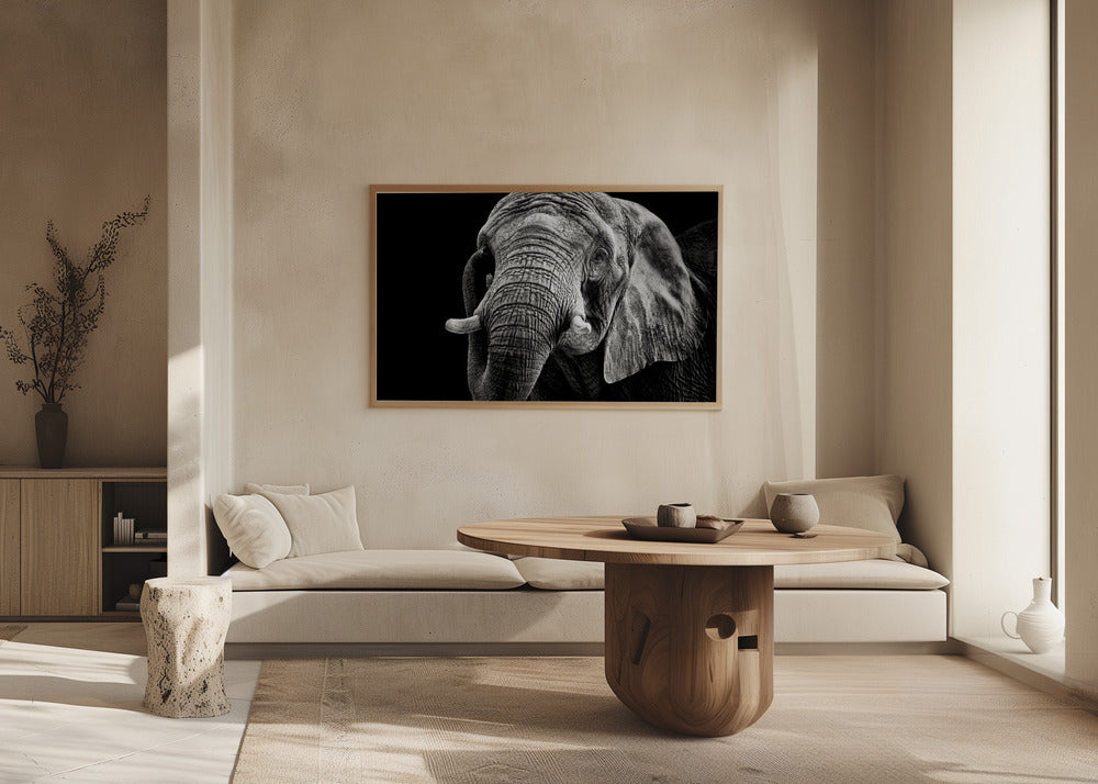 African Elephant Poster