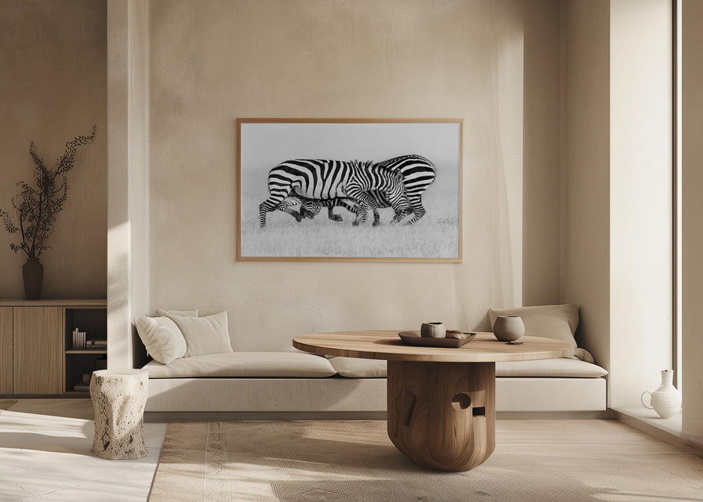 Zebra Wrestling Poster