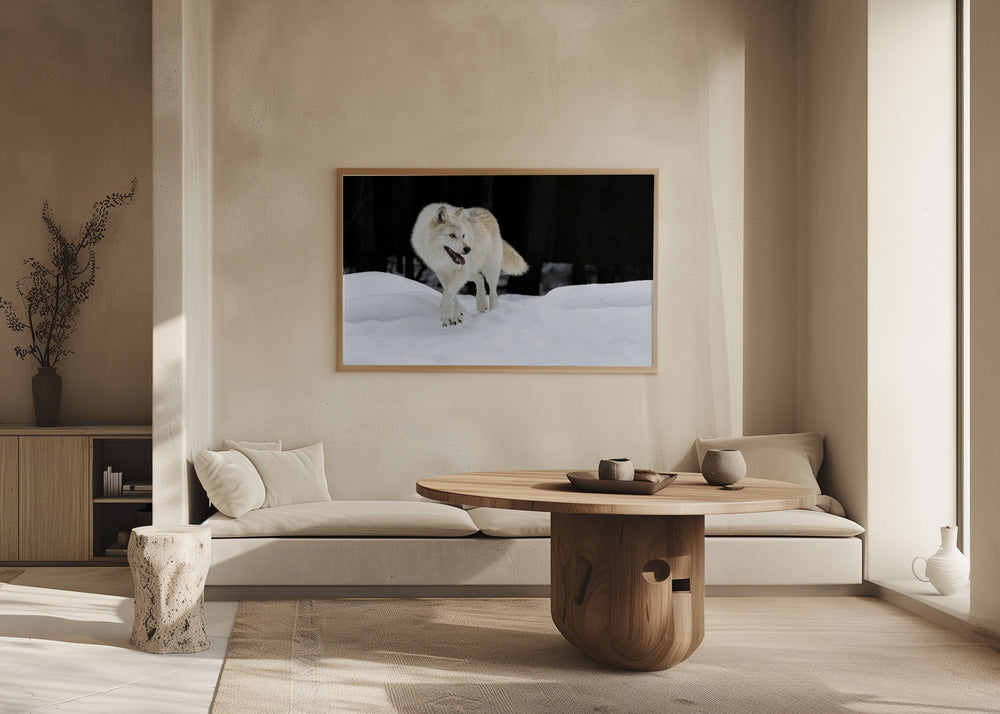 Out of The Dark Poster